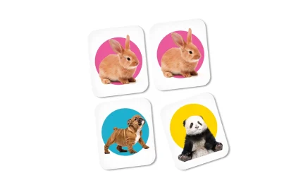 Memory game, Clementoni