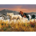 Band of Thunder-Horses- Clementoni jigsaw puzzle, 13200 pieces
