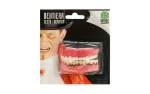 Carnival toys dentition-2