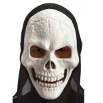Carnival mask skull death