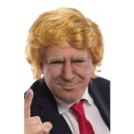 Donald's carnival wig