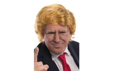 Donald's carnival wig