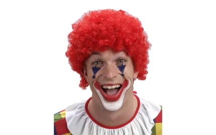 Clown wig