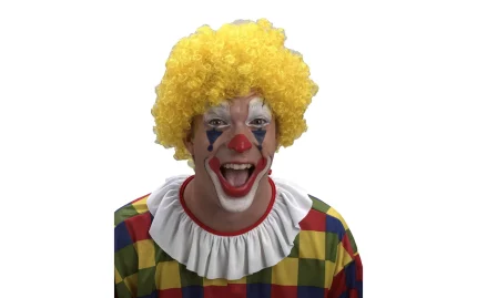 Clown wig-1