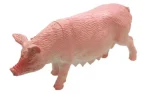 Small domestic animals, Unikatoy-6
