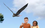 Real flying rc Toothless, How to train your Dragon-9